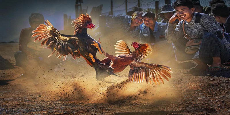 789f chơi bắn cá đổi thưởng