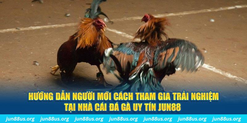 789f CQ9 Điện Tử