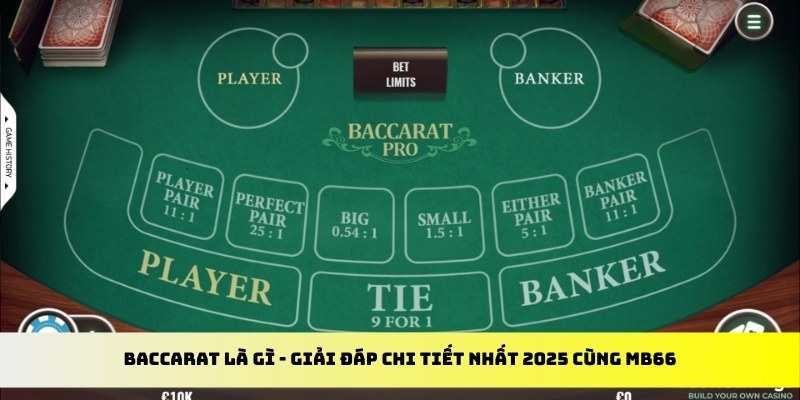 789f gà chọi cu cần