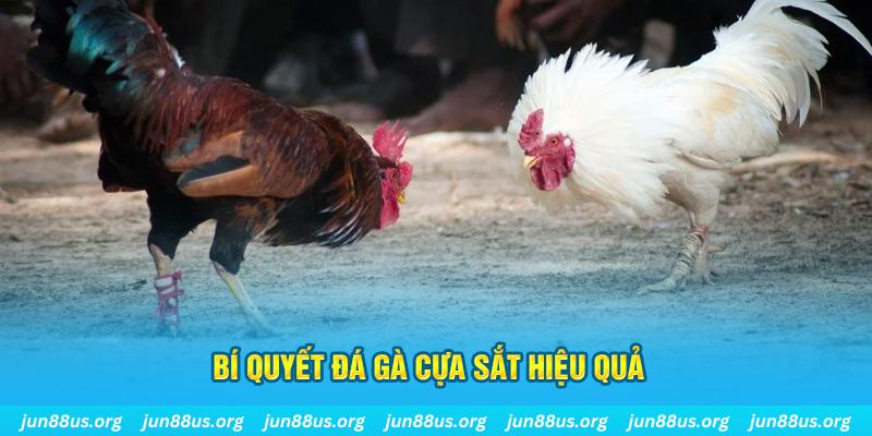 789f xin 1 slot là gì