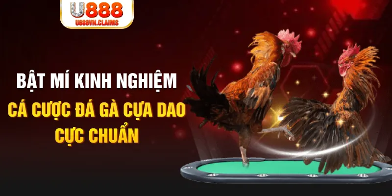 789f tỷ lệ cá cược châu á là gì