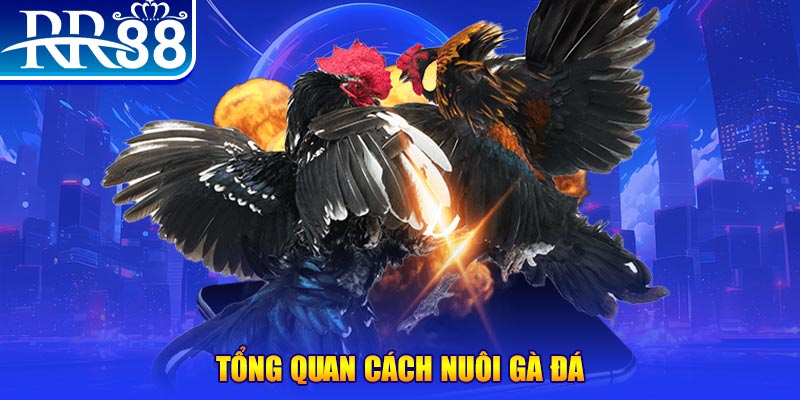 789f VA Điện Tử