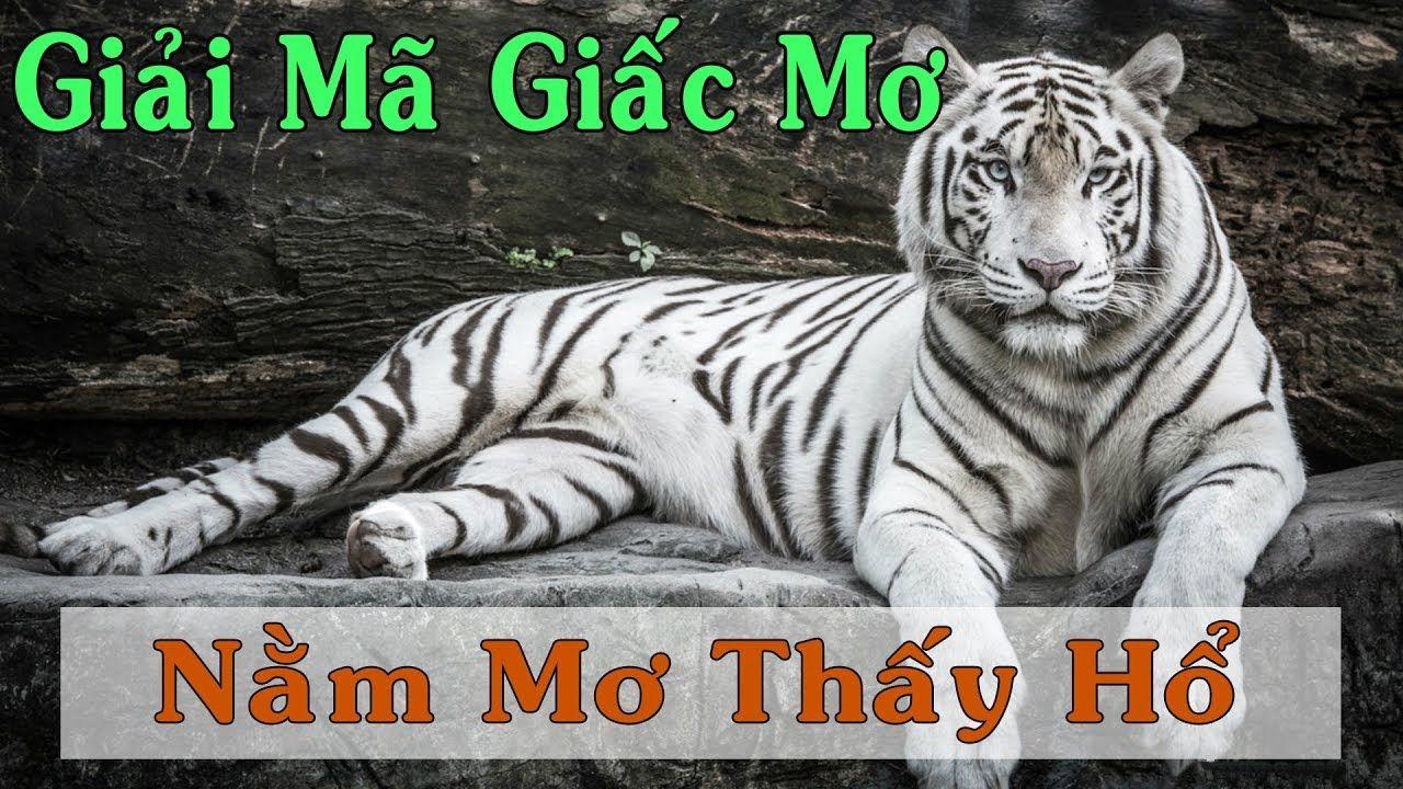 789f xổ số 3 miền