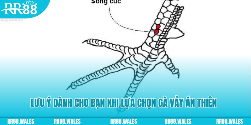 789f xổ số đồng nai