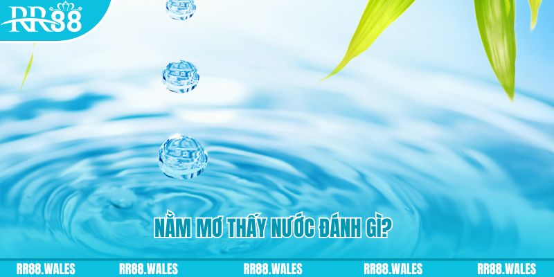 789f TP Bắn cá
