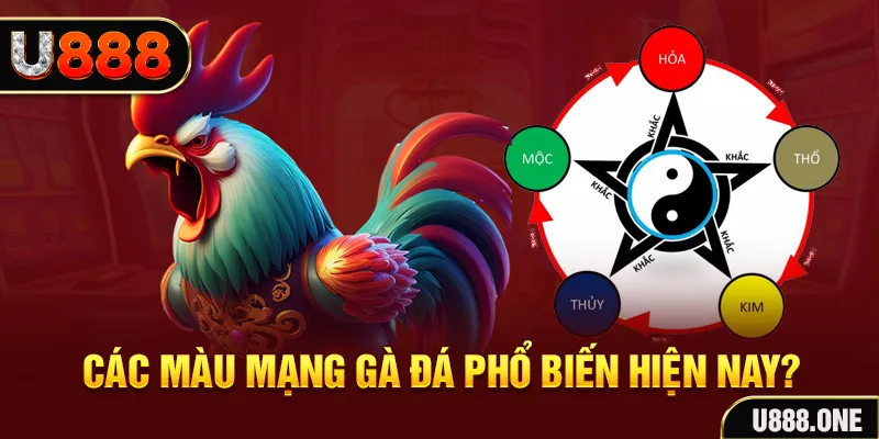 789f trực tiếp đá gà 88
