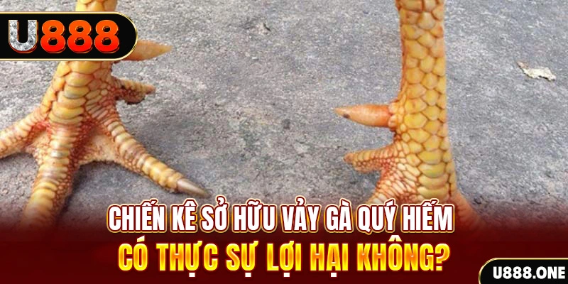 789f nohu .mx nổ hủ là gì