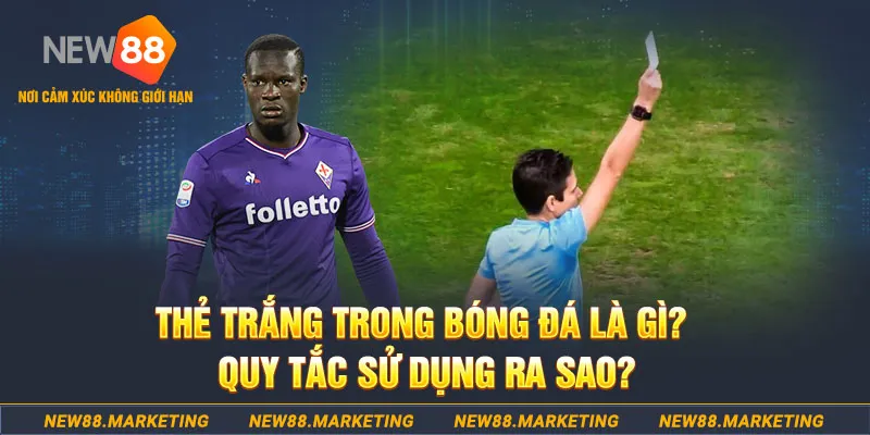 789f gà chọi mộc hóa