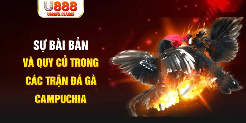 789f YGR Điện Tử