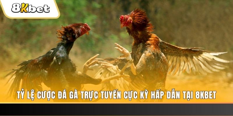 789f đăng nhập phỏm trực tiếp