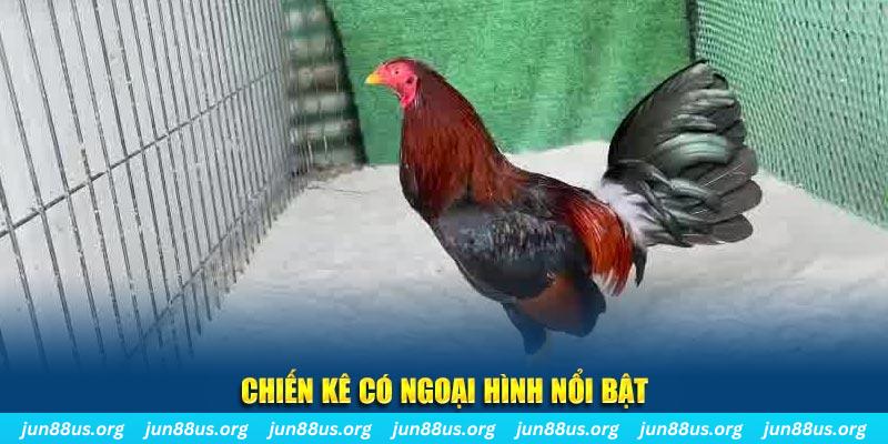 789f chạy quảng cáo cho game bài bị phạt như thế nào