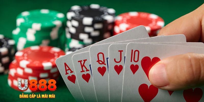 789f đá gà trực tiếp thomo 67
